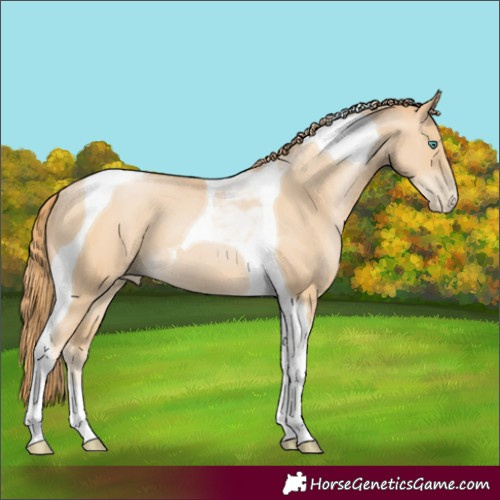 Horse Color:Smoky Black Pearl Tobiano 