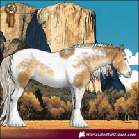 Horse Color:Chocolate Palomino Dun Mushroom Splash Tobiano Rabicano