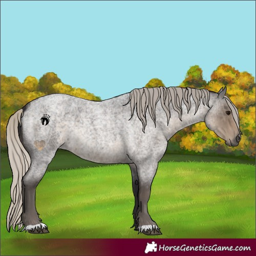 Horse Color:Silver Smoky Blue Roan 