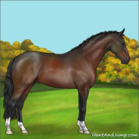 Horse Color:Brown 