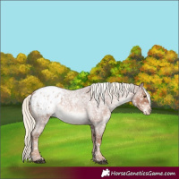 Horse Color:Red Roan Mushroom Blanket 