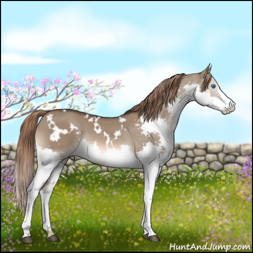 Horse Color:White Spotted Liver Red Dun Splash 