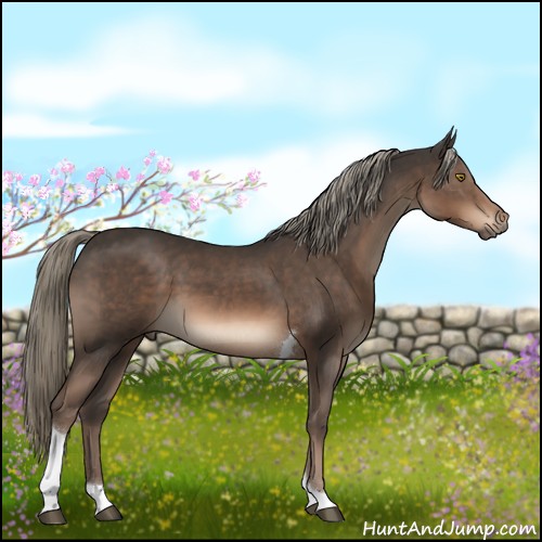 Horse Color:Liver Chestnut Mushroom Tobiano 