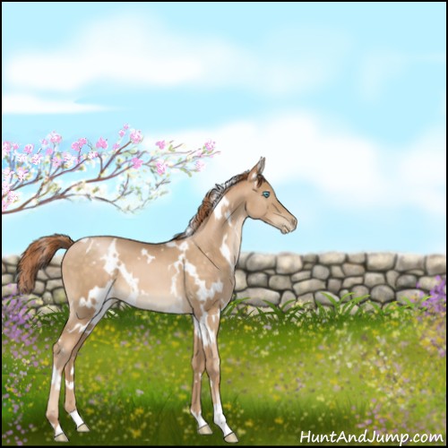 Horse Color:White Spotted Buckskin Pearl 