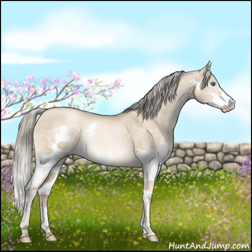 Horse Color:Chocolate Palomino Pearl Dun Splash 