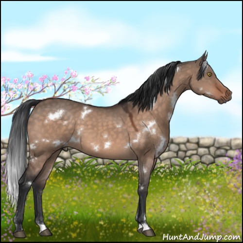 Horse Color:White Spotted Brown Dun Mushroom 