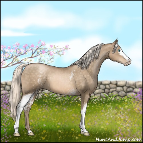 Horse Color:White Spotted Chocolate Palomino Pearl Sabino 