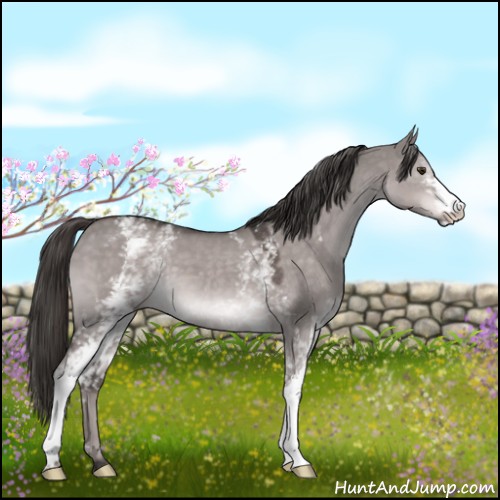 Horse Color:Platinum White Spotted Liver Red Dun 