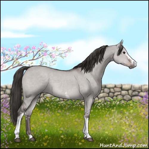 Horse Color:Platinum White Spotted Liver Red Dun 