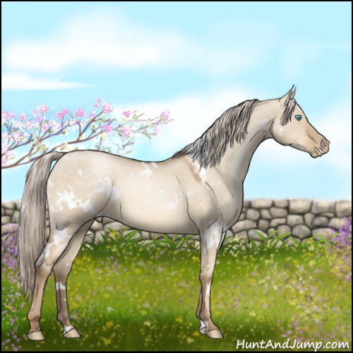 Horse Color:White Spotted Chocolate Palomino Pearl Dun 