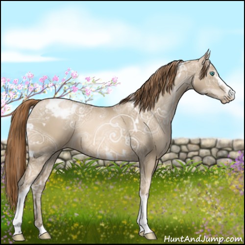 Horse Color:White Spotted Smoky Black Ice Pearl Appaloosa 