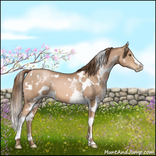 Horse Color:White Spotted Liver Chestnut Pearl 