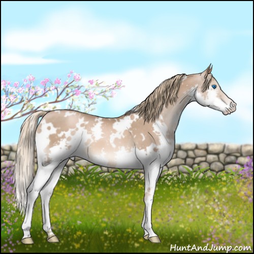 Horse Color:White Spotted Liver Chestnut Pearl Splash 