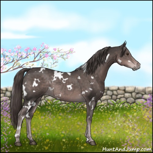Horse Color:Platinum White Spotted Liver Chestnut Rabicano 