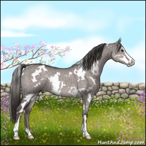 Horse Color:Platinum White Spotted Liver Red Dun Sabino 