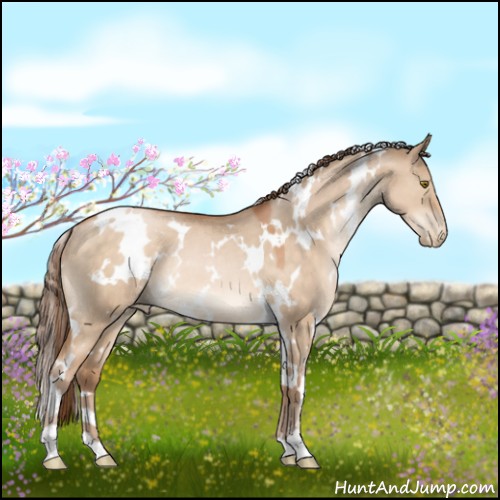 Horse Color:White Spotted Brown Pearl Dun Rabicano 