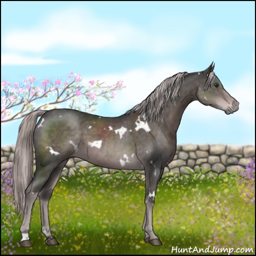 Horse Color:Platinum White Spotted Liver Chestnut 