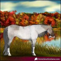 Horse Color:Brown Roan Dun 