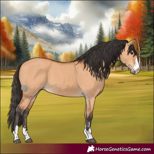 Horse Color:Bay Dun 