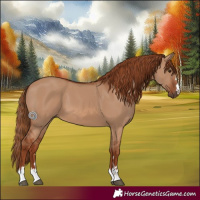 Horse Color:Red Dun 