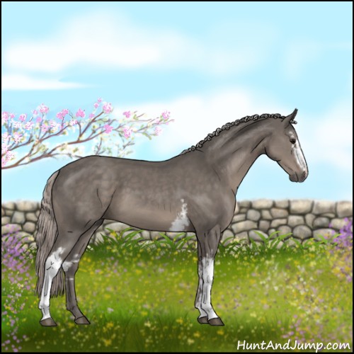 Horse Color:White Spotted Silver Black Sabino