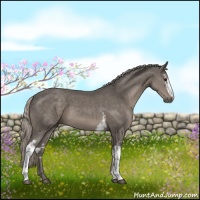 Horse Color:White Spotted Silver Black Sabino 