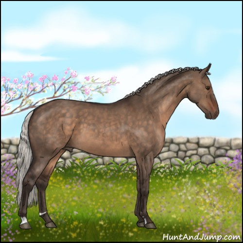 Horse Color:Silver Brown Dun Sabino 