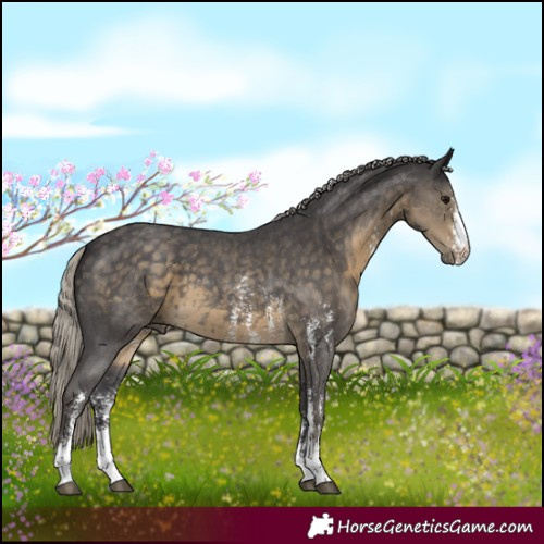 Horse Color:Silver Smoky Black Sabino 