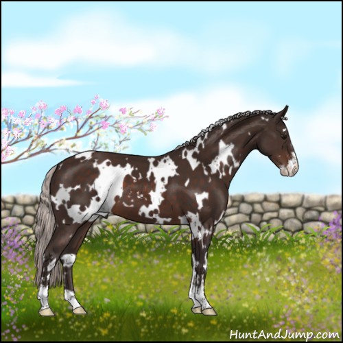 Horse Color:White Spotted Silver Brown Sabino 
