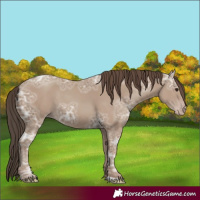 Horse Color:Classic Champagne Ice 