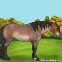 Horse Color:Brown Roan 