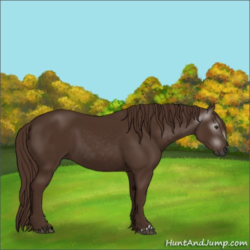 Horse Color:Gray Chestnut
