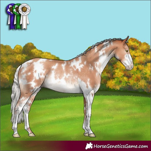 Horse Color:White Spotted Silver Sable Champagne Sabino Rabicano 