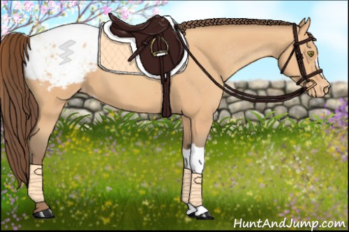 Horse Color:Amber Champagne Snowcap 