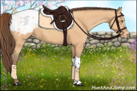 Horse Color:Amber Champagne Snowcap