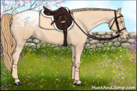 Horse Color:Gold Champagne Snowcap 