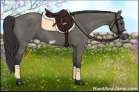 Horse Color:Grullo Frame