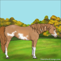 Horse Color:Chestnut Frame