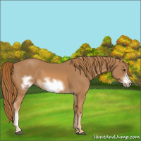 Horse Color:Chestnut Frame 
