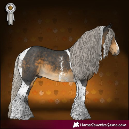 Horse Color:Gray Silver Buckskin Sabino Tobiano 