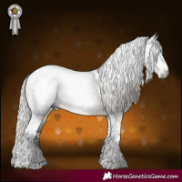 Horse Color:Gray Silver Buckskin Sabino Tobiano 