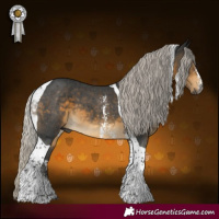 Horse Color:Gray Silver Buckskin Sabino Tobiano