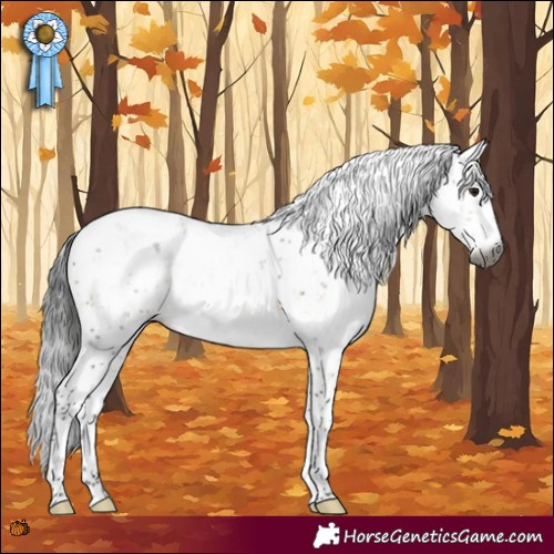 Horse Color:Gray Buckskin Sabino