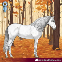 Horse Color:Gray Buckskin Sabino