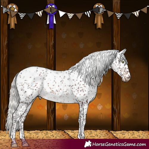 Horse Color:Silver Brown Sabino 