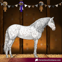 Horse Color:Silver Brown Sabino 