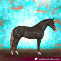 Horse Color:Liver Chestnut Rabicano 