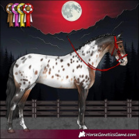 Horse Color:White Spotted Brown Sabino Blanket Rabicano 