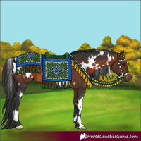 Horse Color:White Spotted Brown 