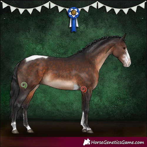 Horse Color:Brown Sabino Tobiano 